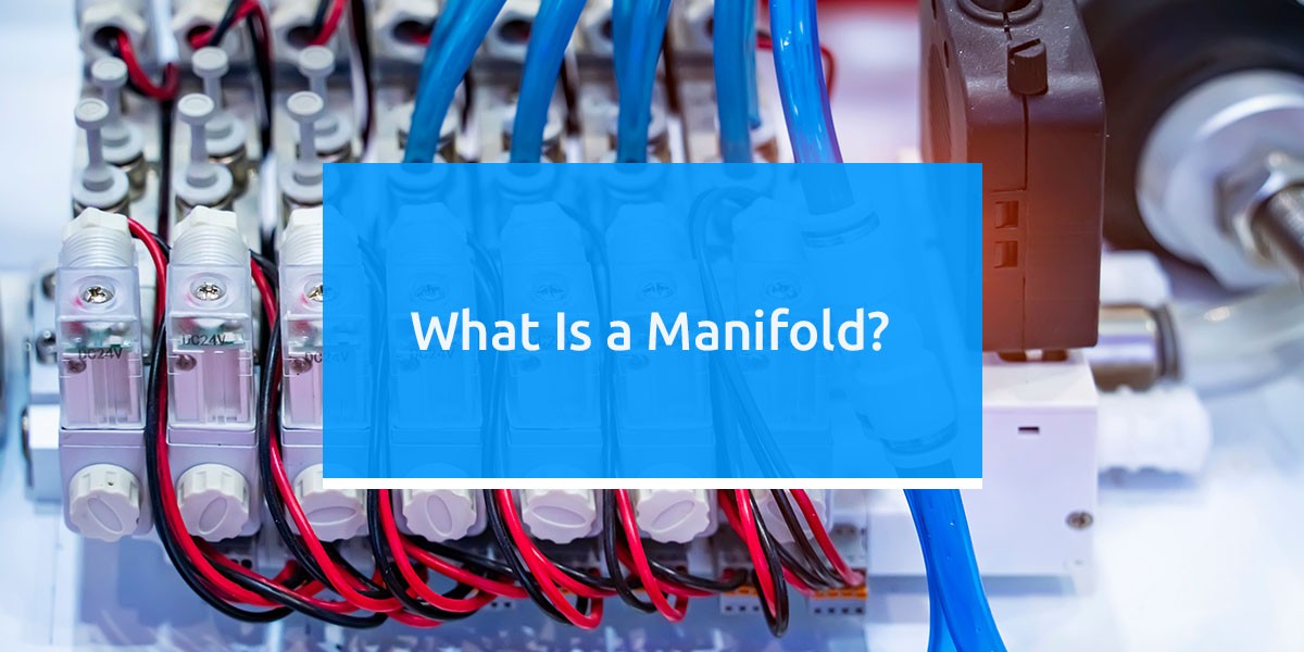 what is a manifold