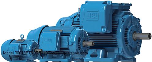 WEG Electric Corporation 30018ET3GRB449T-W22 WEG Electric Corporation Electric Motors Model 30018ET3GRB449T-W22 Service, Sales, Replacement Parts https://gesrepair.com/wp-content/uploads/2025/12/WEG_Electric_Corporation_Electric_Motors_Model_30018ET3GRB449T-W22_Service_Sales_Replacement_Parts.jpg