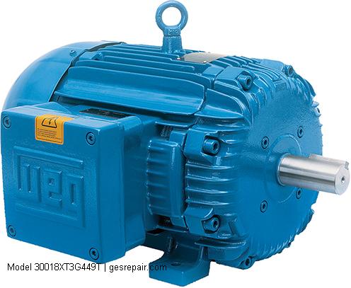 WEG Electric Corporation 30018XT3G449T WEG Electric Corporation Electric Motors Model 30018XT3G449T Service, Sales, Replacement Parts https://gesrepair.com/wp-content/uploads/2025/12/WEG_Electric_Corporation_Electric_Motors_Model_30018XT3G449T_Service_Sales_Replacement_Parts.jpg