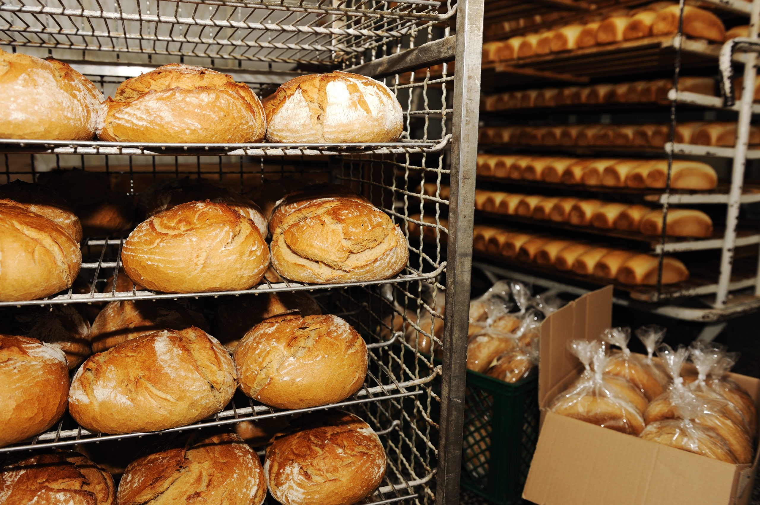 Bread on shelves inside of a bakery