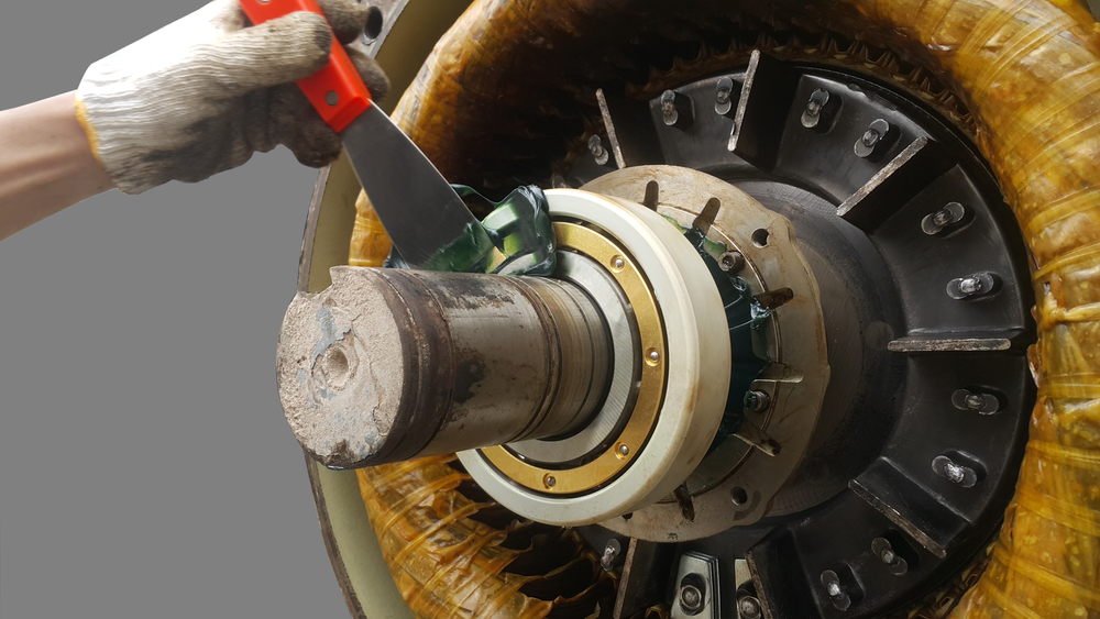 Rotor Shaft And Bearing For Electric Motor Overhaul