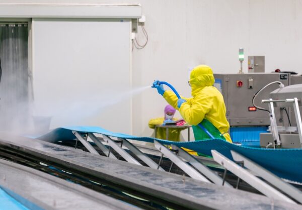 Worker Uses High Pressure Water Spray Cleaning Conveyor Belt