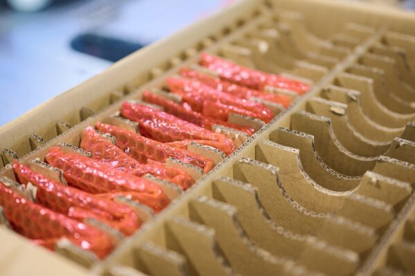 Electronic Boards Neatly Organized In A Cardboard Box Ready For Shipping
